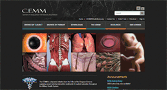 Desktop Screenshot of cemm.org